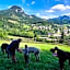 Gasthof International