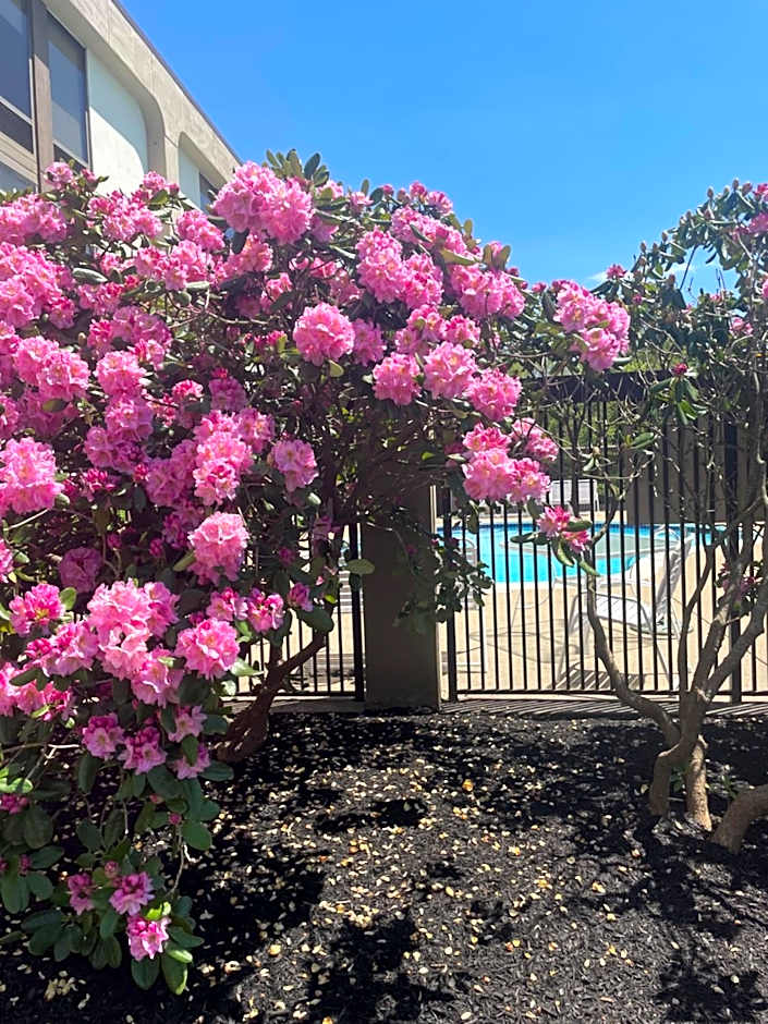 Hampton Inn By Hilton New Bedford/Fairhaven