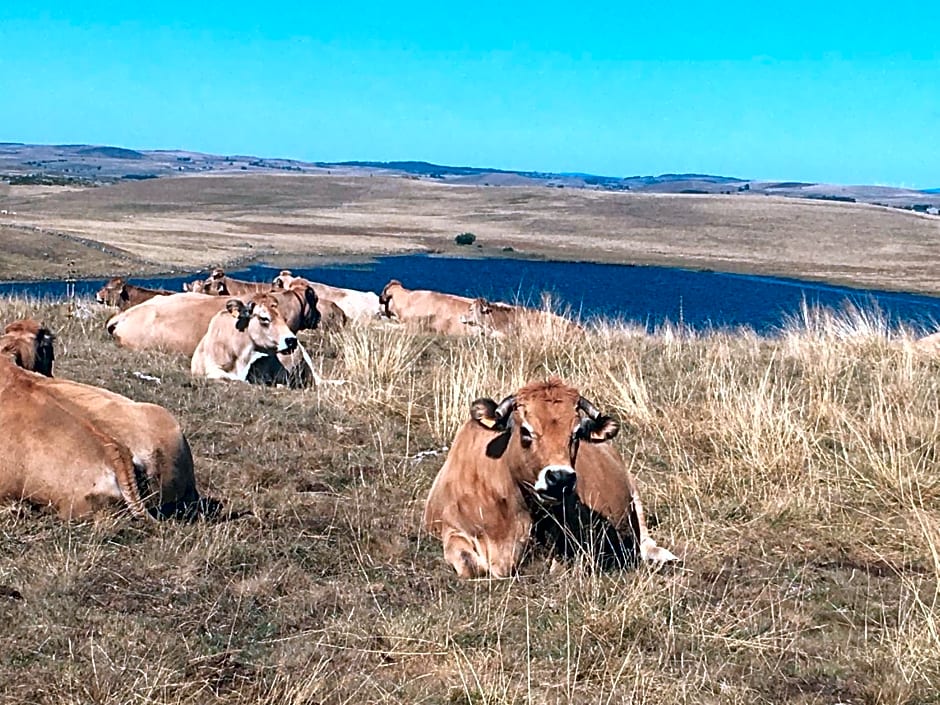 AUX PORTES D'AUBRAC studio 2 personnes