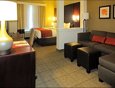 Comfort Suites-Youngstown North