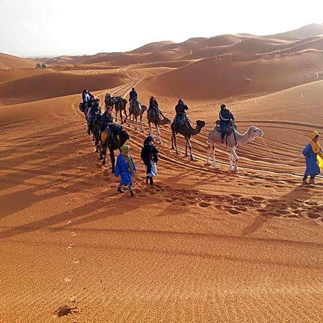 Camp Sahara Majestic