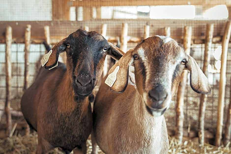 Hotel Hospodářský dvůr Bohuslavice