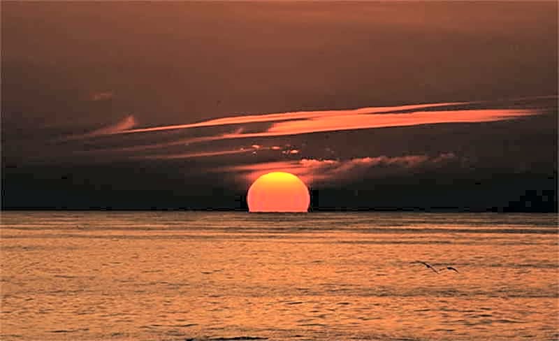 Hotel Apartamento Rosamar I