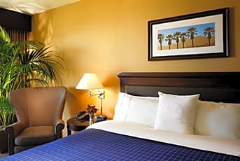 Sheraton Park Hotel At The Anaheim Resort