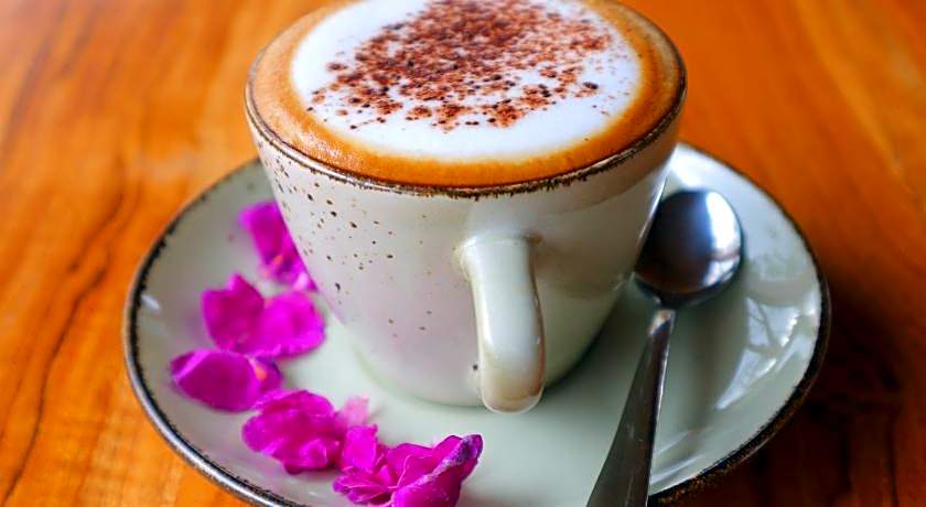 seno guesthouse and cafe