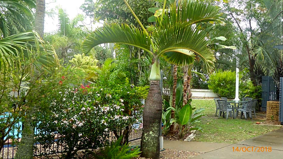 Tower Court Motel - adults only haven