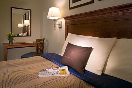 1 BEDROOM SUITE 1 QUEEN BED NONSMOKING
