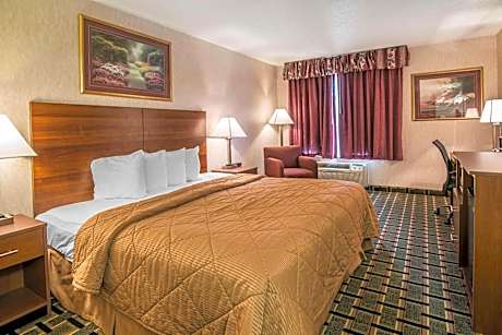 1 King Bed, Nonsmoking