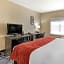 Comfort Inn & Suites Lubbock