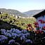 B&B I Glicini
