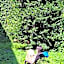 Smallfunnyworld Brussels
