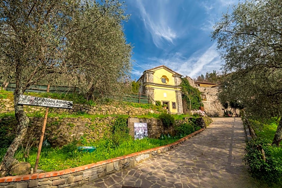 Un'Ottima Annata B&B