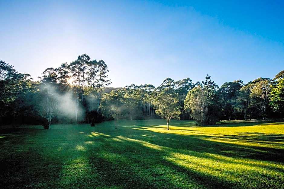 Nightcap Ridge - Byron Bay Hinterland
