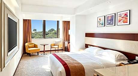 Premium Deluxe King Room