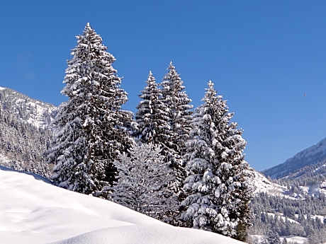 Der Malerwinkl - Alpenhotel