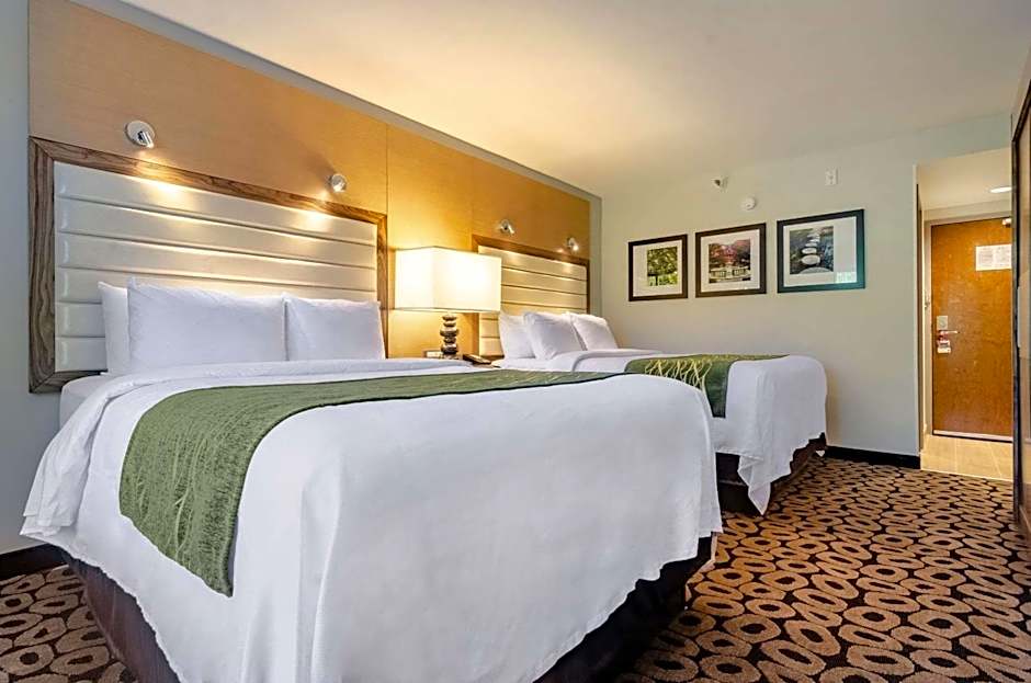 Comfort Inn Raleigh Midtown