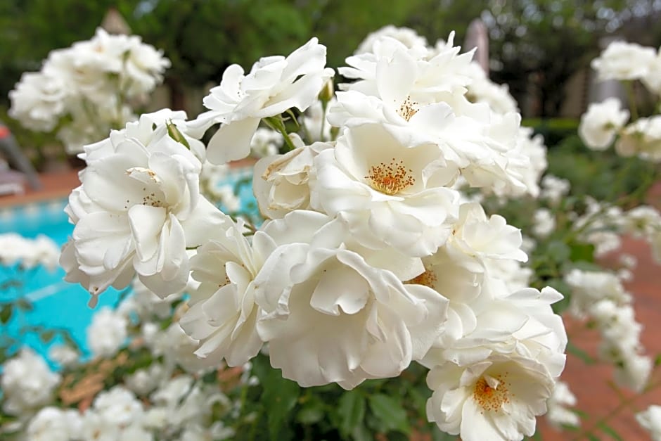 Brooklyn Manor Guesthouse