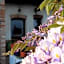 Bed and breakfast Al Rudun