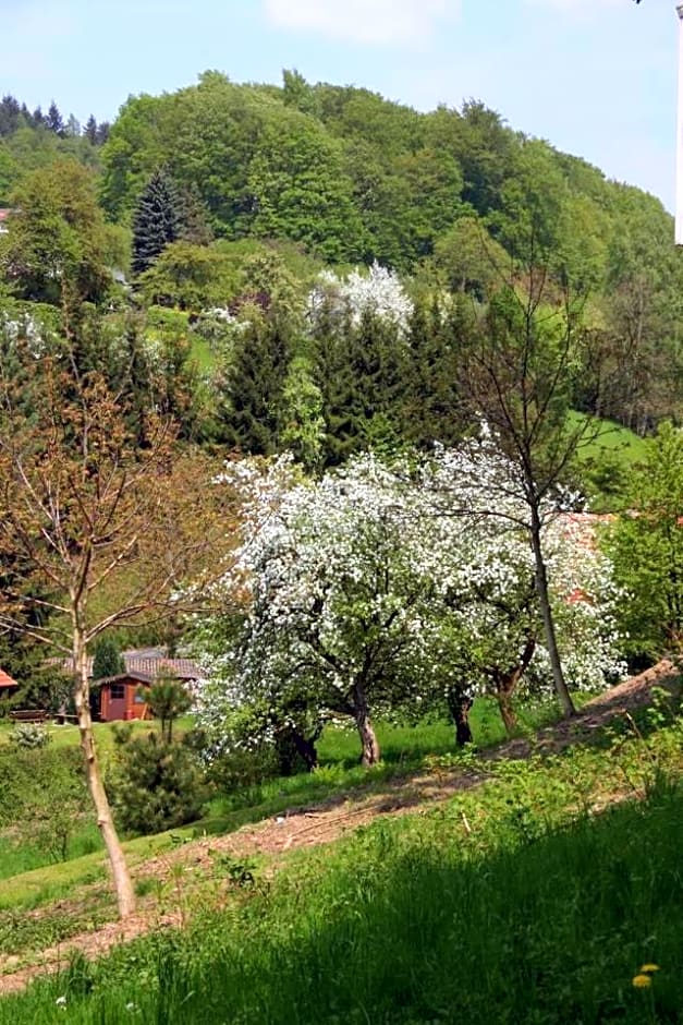 Waldblick Appartement