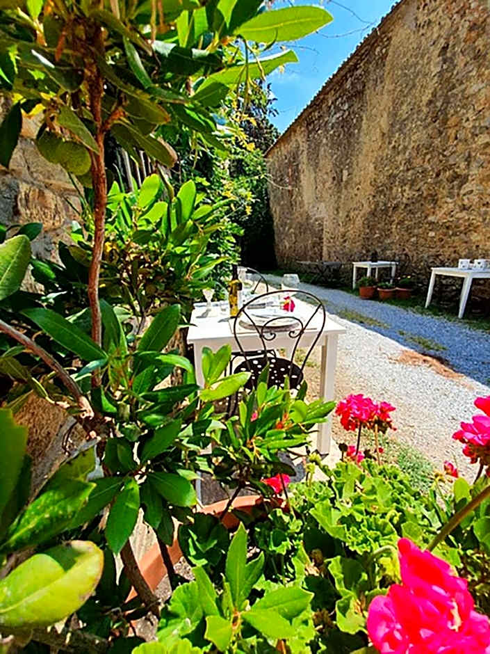 Bed And Breakfast Belvedere