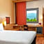 Ibis Bursa