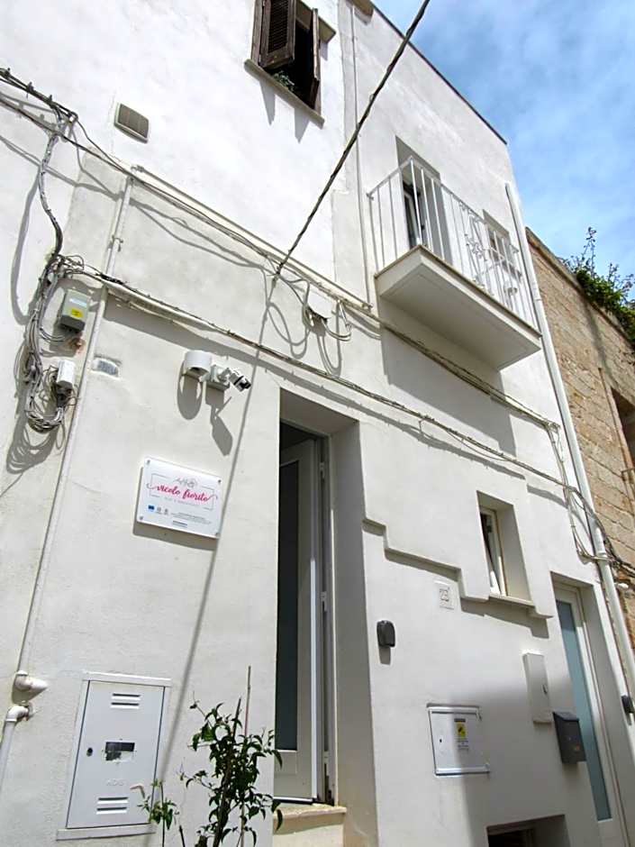Vicolo Fiorito B&B
