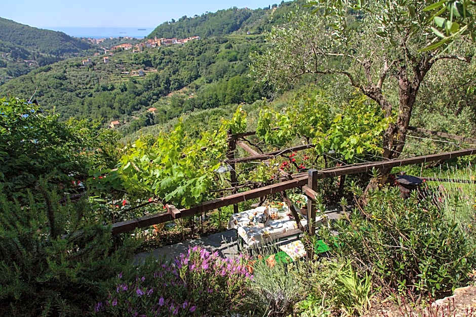 Pietrantica - Affittacamere con giardino NUOVA APERTURA a Trebiano -CITR