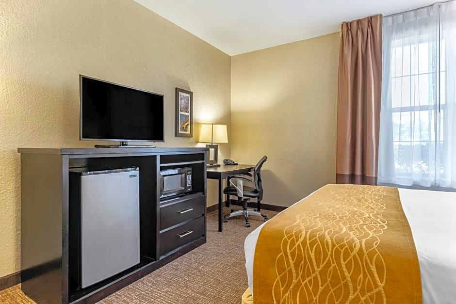 Comfort Inn & Suites Allen Park - Dearborn
