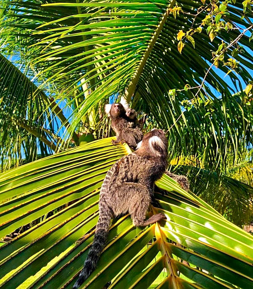 CHALÉ CAPOEIRA DOS MILAGRES