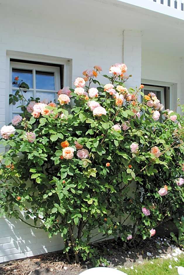 Hotel Landhaus Ellerbrock