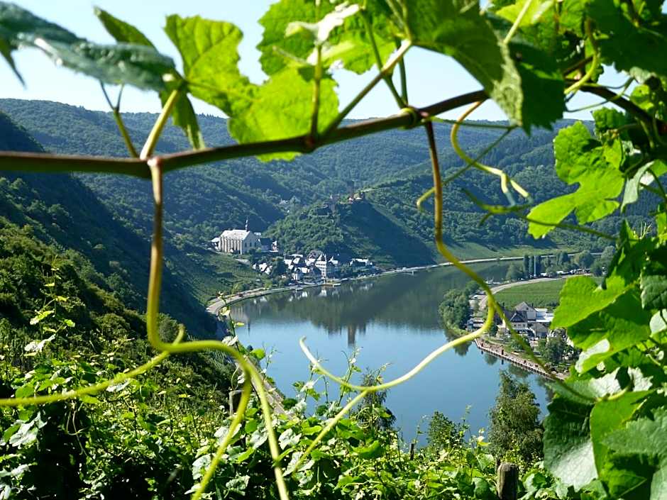 Hotel Haus Burg Metternich