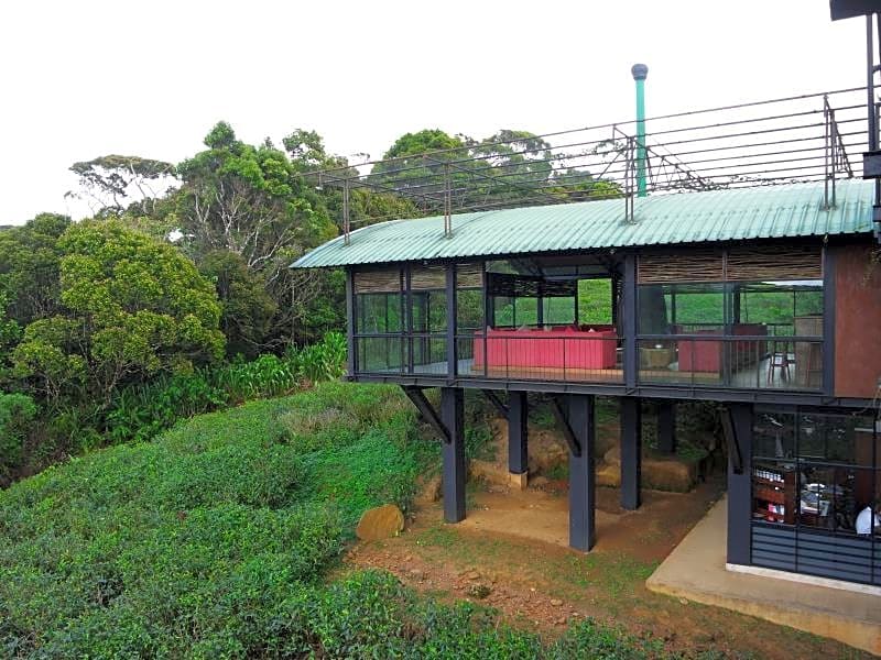 The Rainforest Ecolodge