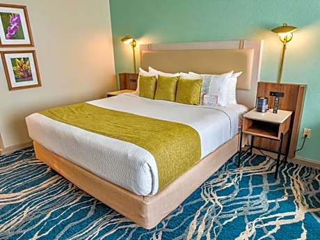 King Room - Bayou view