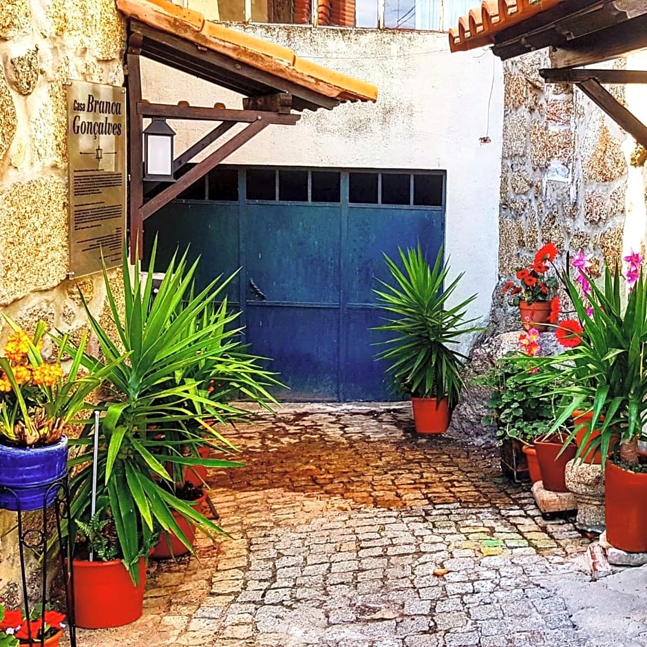 Branca Gonçalves Belmonte