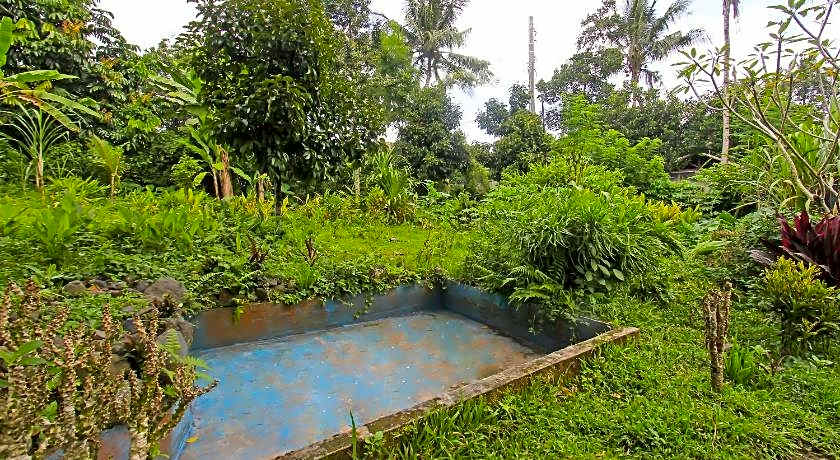 Hotel O Jati Homestay Near Taman Suranadi