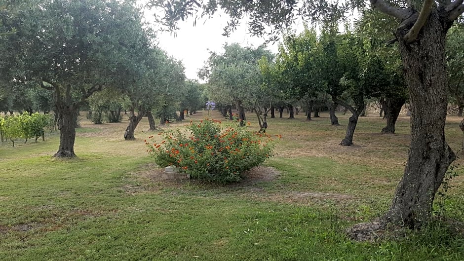 SERRA E MESU Affittacamere