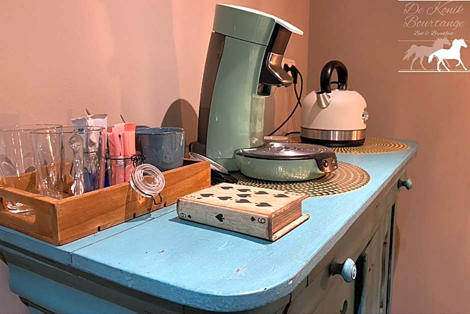 B&B De Konik Bourtange