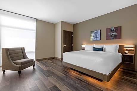 1 King Bed, Suite, No Smoking, Accessible Room