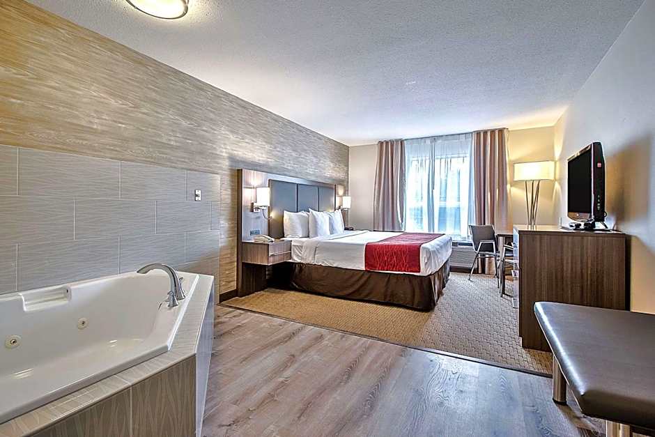 Comfort Inn And Suites South