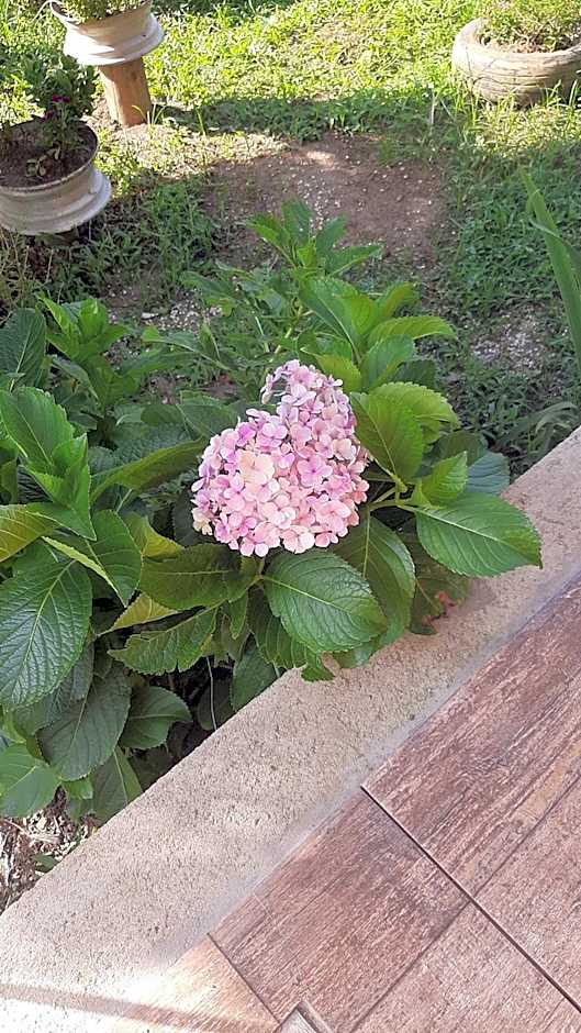 Rancho Esperança, pouso e comida a lenha