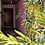 Ciudad Perdida EcoLodge