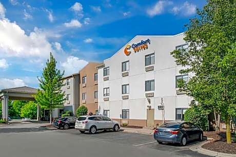 Comfort Suites Auburn Hills-Detroit
