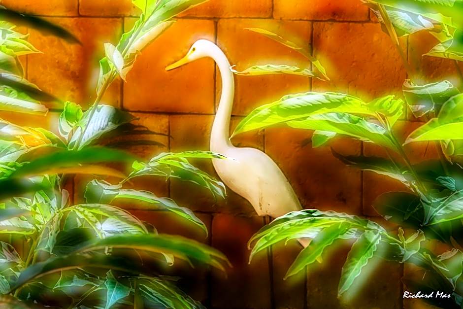 Jardim Secreto