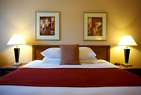 King Suite with Sofa Bed - Non-Smoking