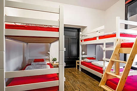 Bunk Bed in 6-Bed Mixed Dormitory Room