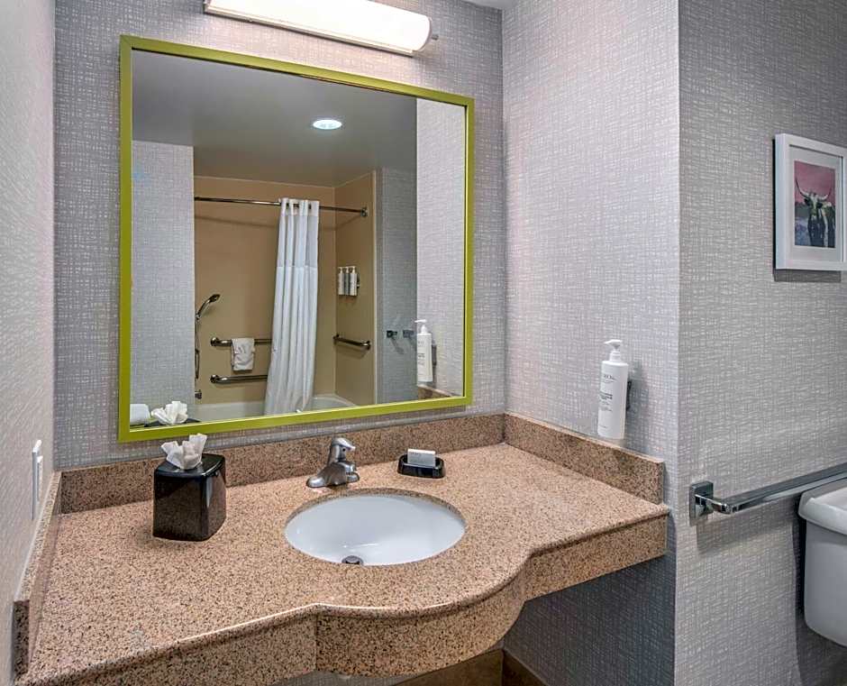 Hampton Inn By Hilton & Suites-Dallas Allen
