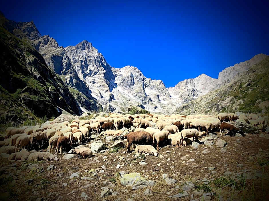 Auberge Saint Antoine