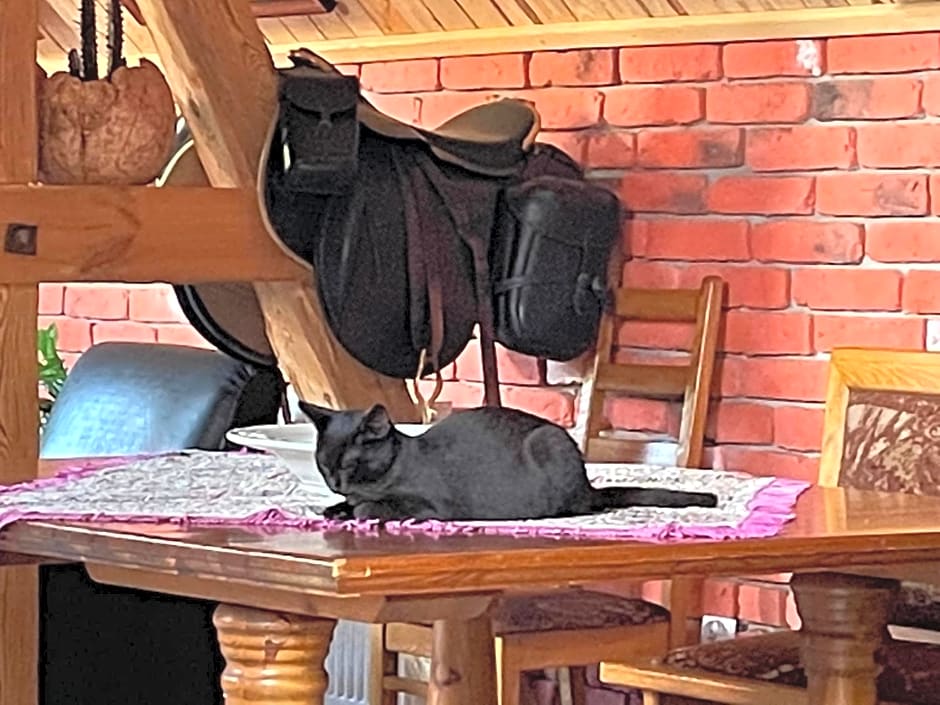 Agroturystyka Hanka i Jurek