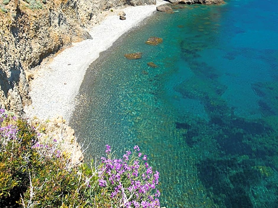 Hotel O Palmo