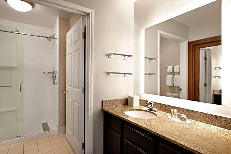 Suite, 1 Bedroom (1 Queen Bed and 1 Double Sofa Bed)